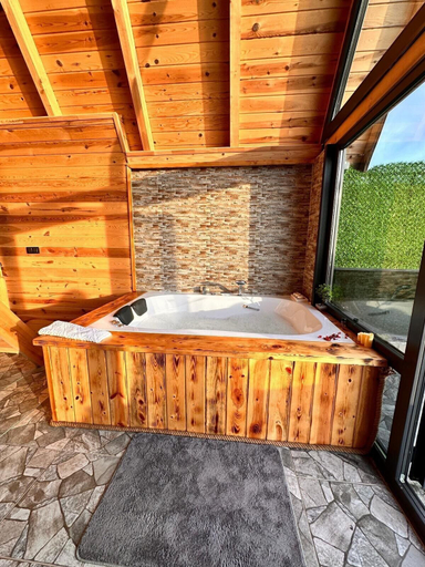 Living area 2, Bologina Suit Bungalov, Ardeşen