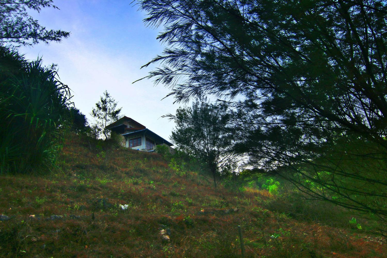 Scenery 13