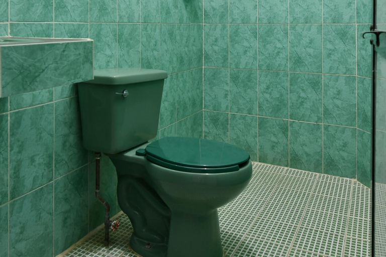 Bathroom 5, Hotel Costamar, Dist. Pochutla