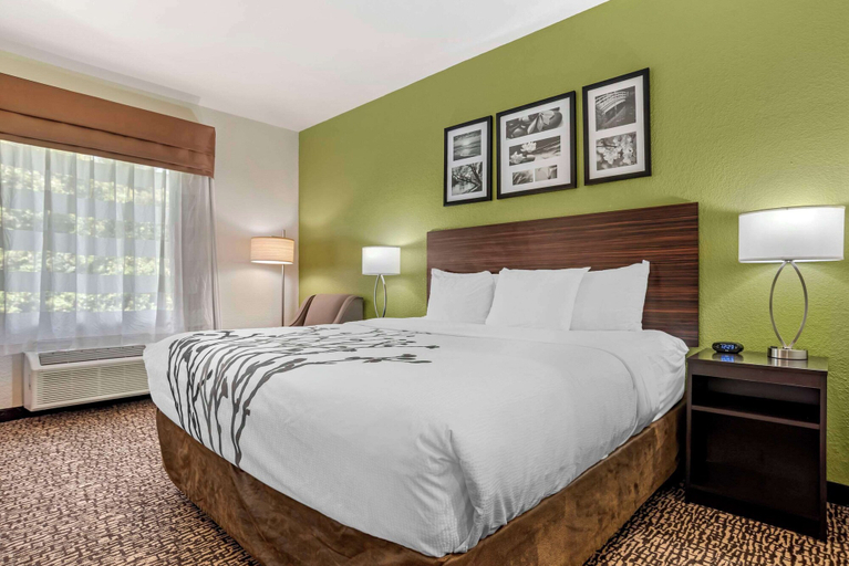Bedroom 3, Sleep Inn & Suites Montgomery East I-85, Montgomery
