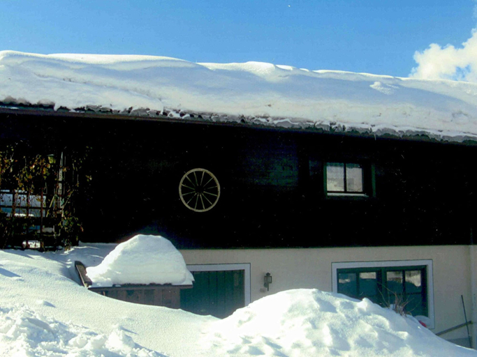 Exterior & Views 1, Chalet in Leogang Salzburg, With Garden, Zell am See