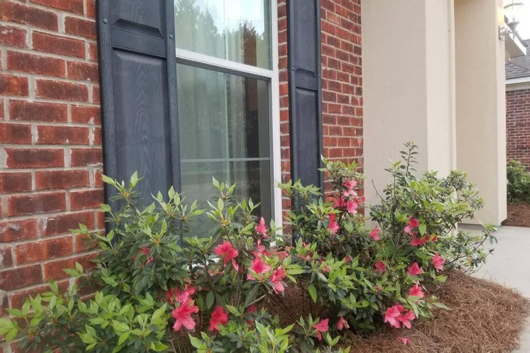 Villa 4, Tangipahoa