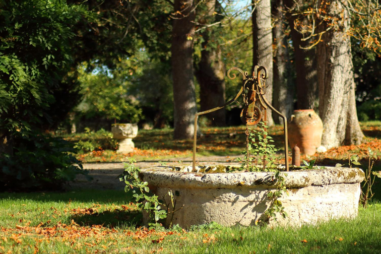Others 5, Maison de Maitre avec Grand Parc arbore clos de murs, Lot-et-Garonne