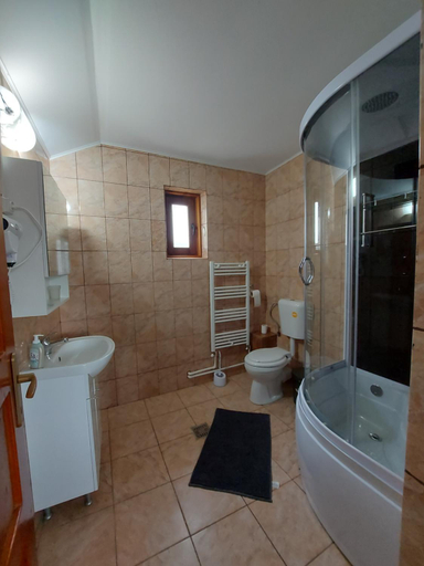 Bathroom 2, Popas Turistic Terasa Europa, Targu Ocna