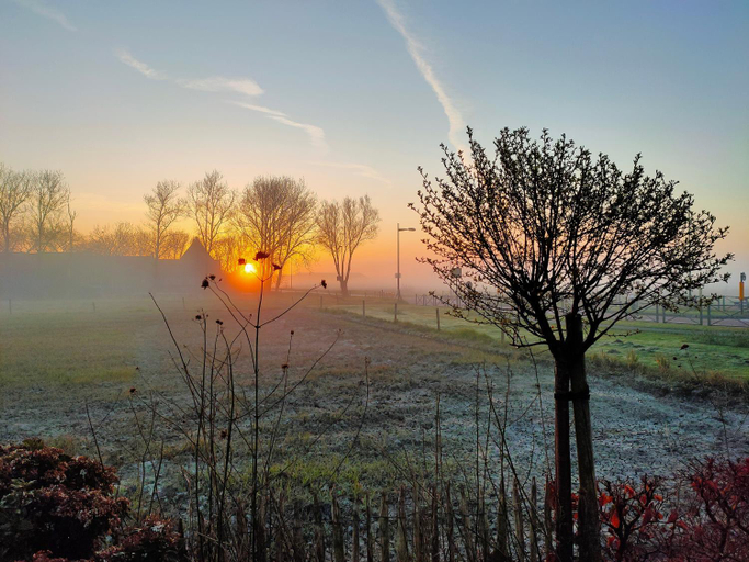 Surrounding environment