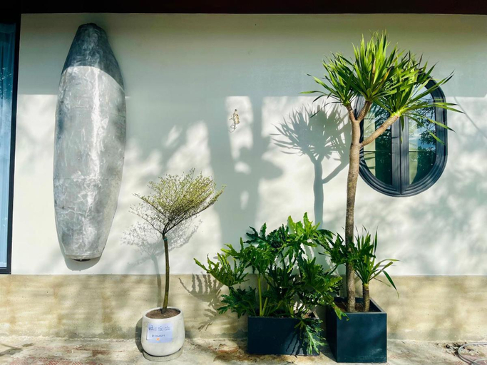 Food & Drinks 5, Boom Casa Homestay, Huế