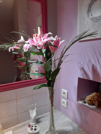 Bathroom 3, Aux Glycines, Côte-d'Or