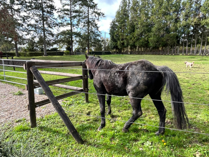 Others 4, Le Domaine des Volets bleus, Eure
