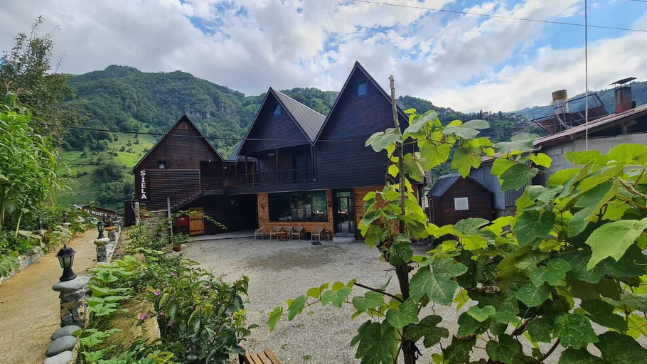 Exterior & Views 2, OTANİ DAĞ EVLERİ, Çamlıhemşin