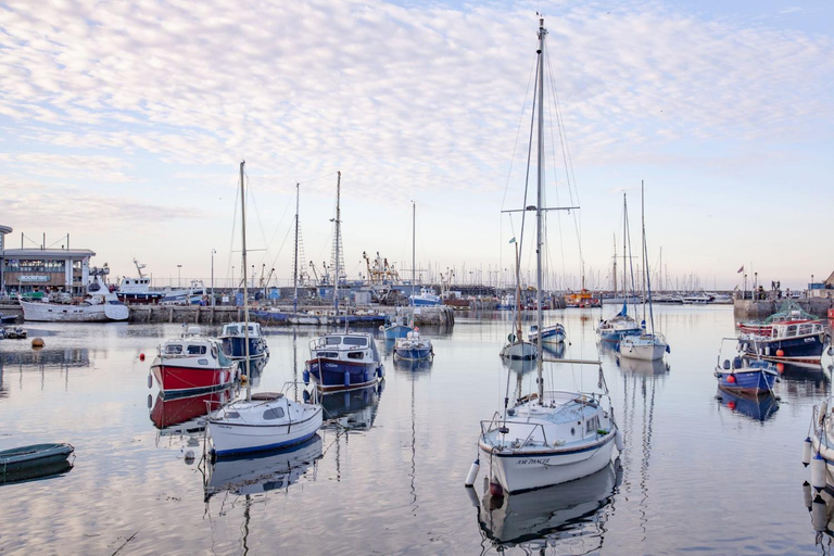 Others 4, Vigilance Suite - Free Wi-Fi - Sea View, Torbay