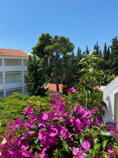 Others 4, Apartmani Dusanka, Orebić
