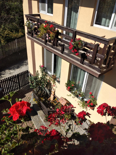 Others 3, Casa Savu Secaria, Secaria