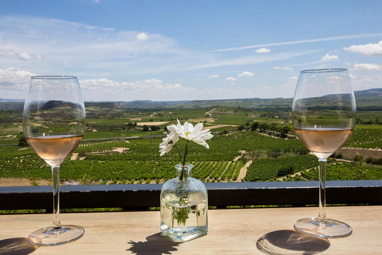 Food & Drinks 3, Mar de vinas, La Rioja