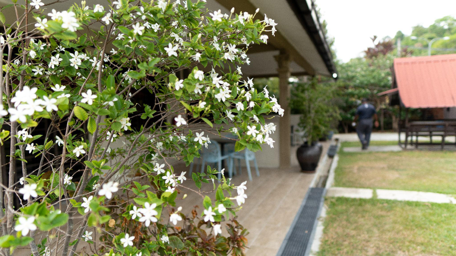 Scenery 6