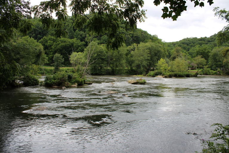 Others 5, Two Rivers Lodge, Swain