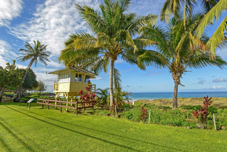 Others 5, Aloha Kahakai, Maui
