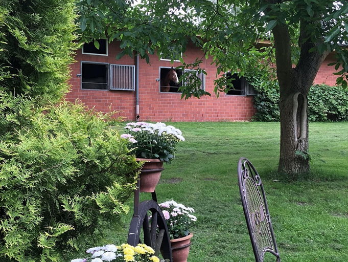 Others 3, Ferienhaus in Kirchdorf mit Reiterhof, Diepholz