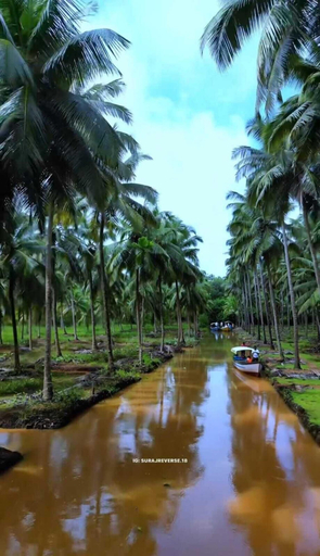 Others 4, JRN Island Beach Stay Resort, Uttara Kannada