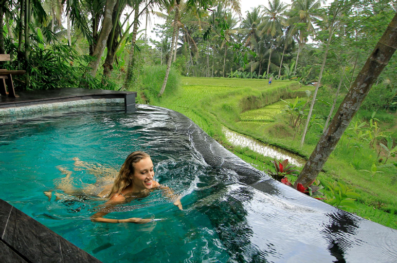 Swimming Pool 23