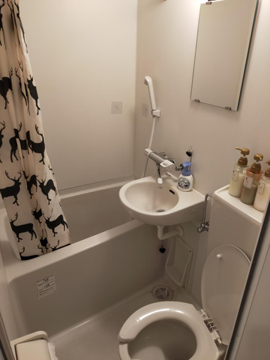 Bathroom 3, Deer hostel, Nara
