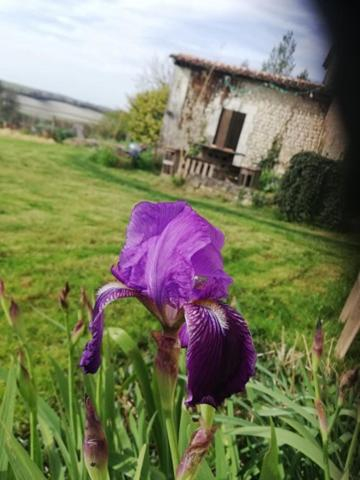 Garden 4, au bout du chemin, Dordogne