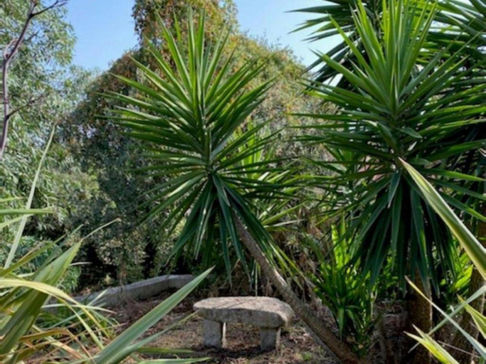 5, Villa Griseor, Corse-du-Sud