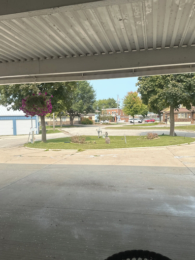 Public Area, Adriatic, La Crosse