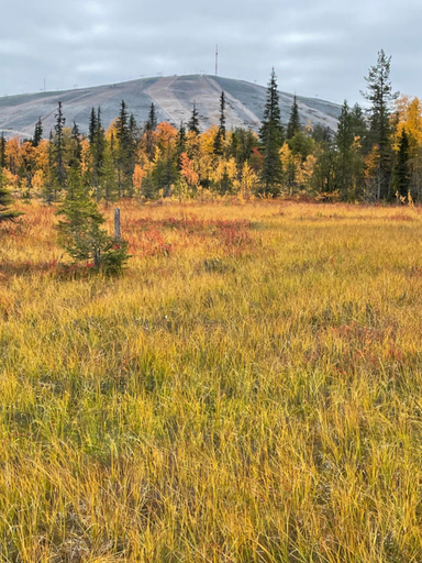 Others 5, Yllastolli 2 A, Akaslompolo, Lapland