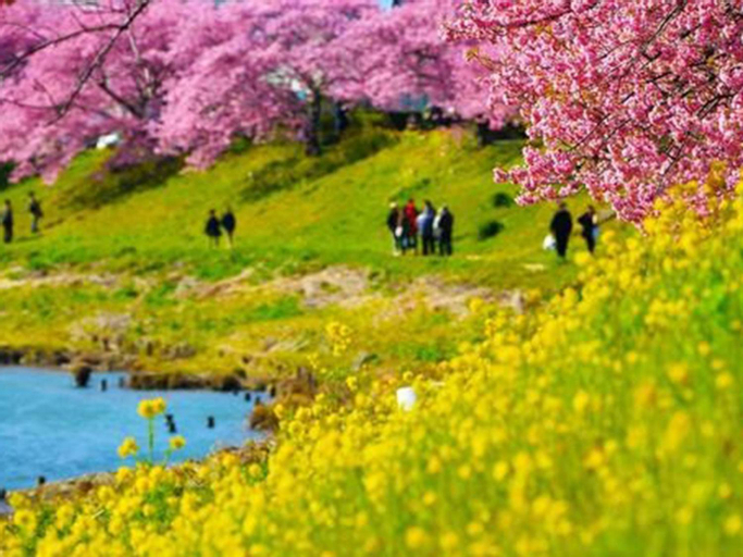 Scenery 16