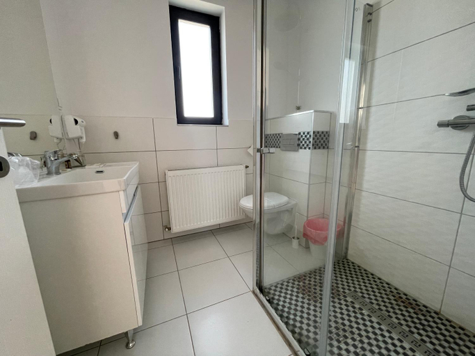 Bathroom 4, ALPIN rooms, Toplita