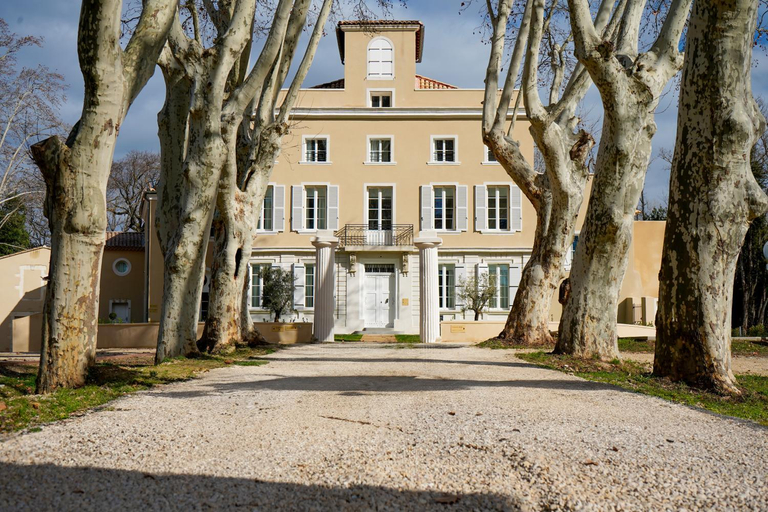 Others 4, Chateau de l'insolas, Gard