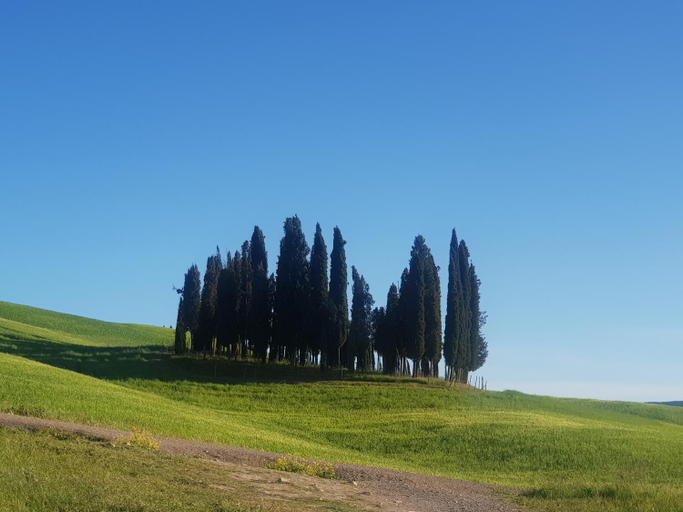 Others 4, Dimora in San Quirico d'Orcia, Siena