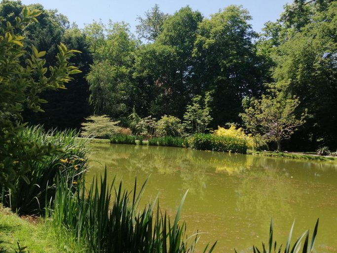 Others 5, Chambre E Andre Le Domaine Des Jardins De Bracquetuit, Seine-Maritime