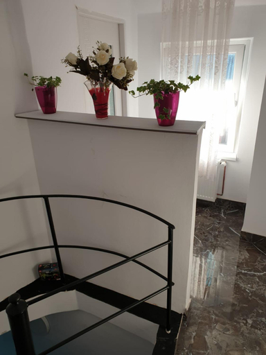 Others 2, Casa Cristea, Danes