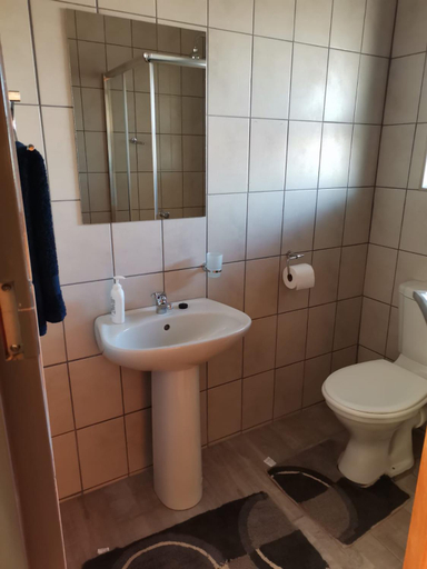 Bathroom 2, Nandi Gosa Apartments, Ngaka Modiri Molema