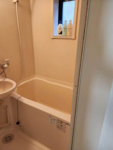 Bathroom 3, Fuji Flat, Shinjuku