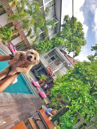 Slumber Party Hostel Canggu, Badung