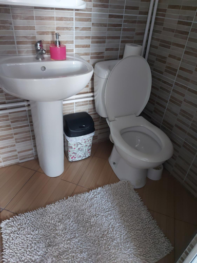 Bathroom 2, CASA DALYS, Orsova