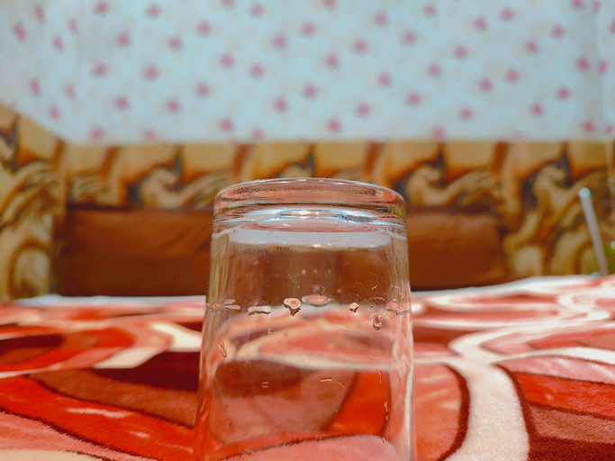 Food & Drinks, Hotel Raghunandan Inn, Faizabad