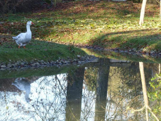 Others 4, Chambre E Andre Le Domaine Des Jardins De Bracquetuit, Seine-Maritime