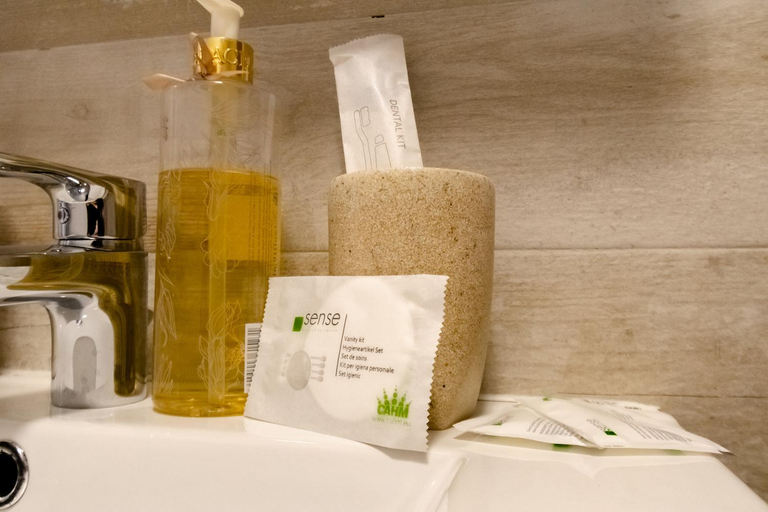 Bathroom 3, KarpatenHaus | Transylvanian Apt. w/ lrg. terrace, Brasov