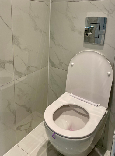 Bathroom 3, Peaceful rest in Camberwell road, London