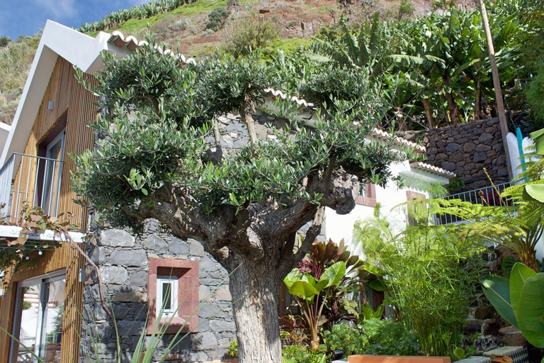 Others 5, Beautiful zen villa, panoramic sea-views and access to the beach Villa do Mar IV, Calheta