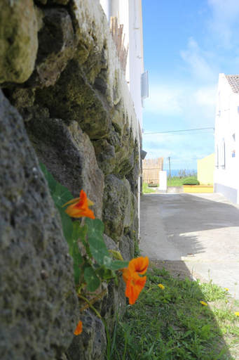 Others 5, Casa das Camarinhas RAAL 542- casa partilhada, Ponta Delgada
