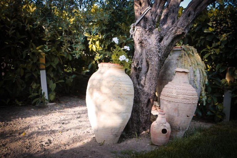 Others 2, Il grifo, Agrigento