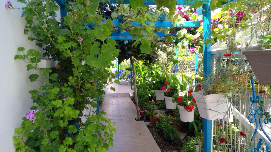 Others 5, Ibiscus and Lily Apartments, South Aegean