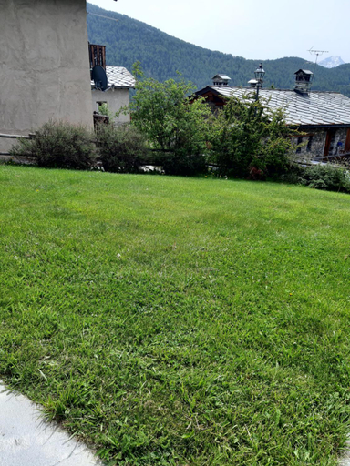 Others 5, STOP & STARE STARS, Aosta