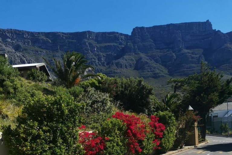 Others 3, Disa Park Studio with Mountain Views, City of Cape Town