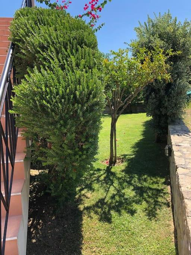 Others 4, Villa Harriet Maria with pool and ocean view Kolimbari, Chania, Crete