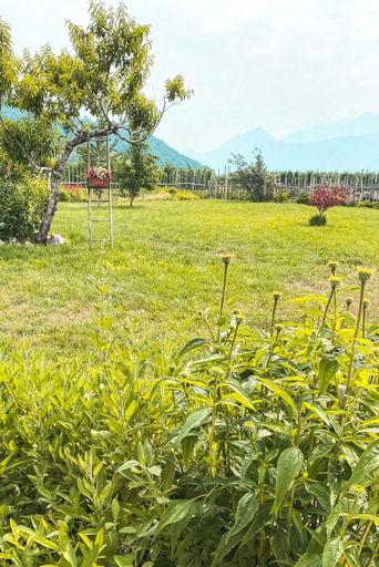 Others 3, AGRITURISMO DAL PEROTIN, Trento